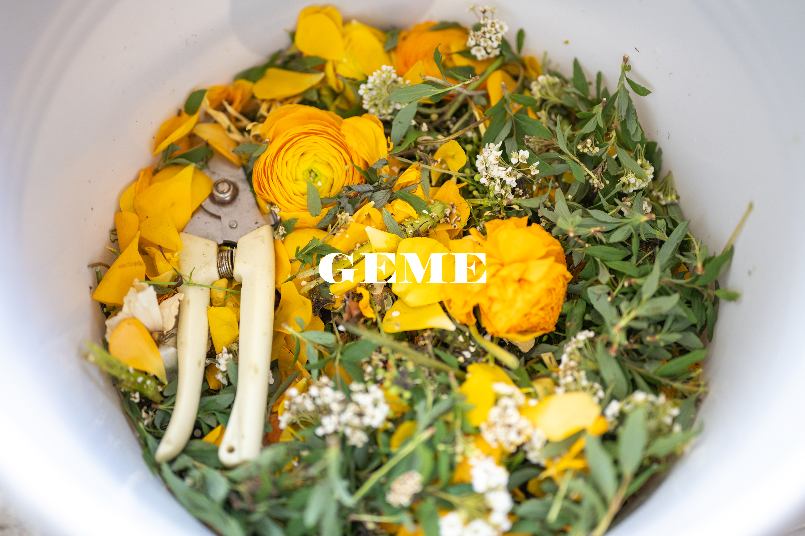 Can I Compost Cut Flowers?