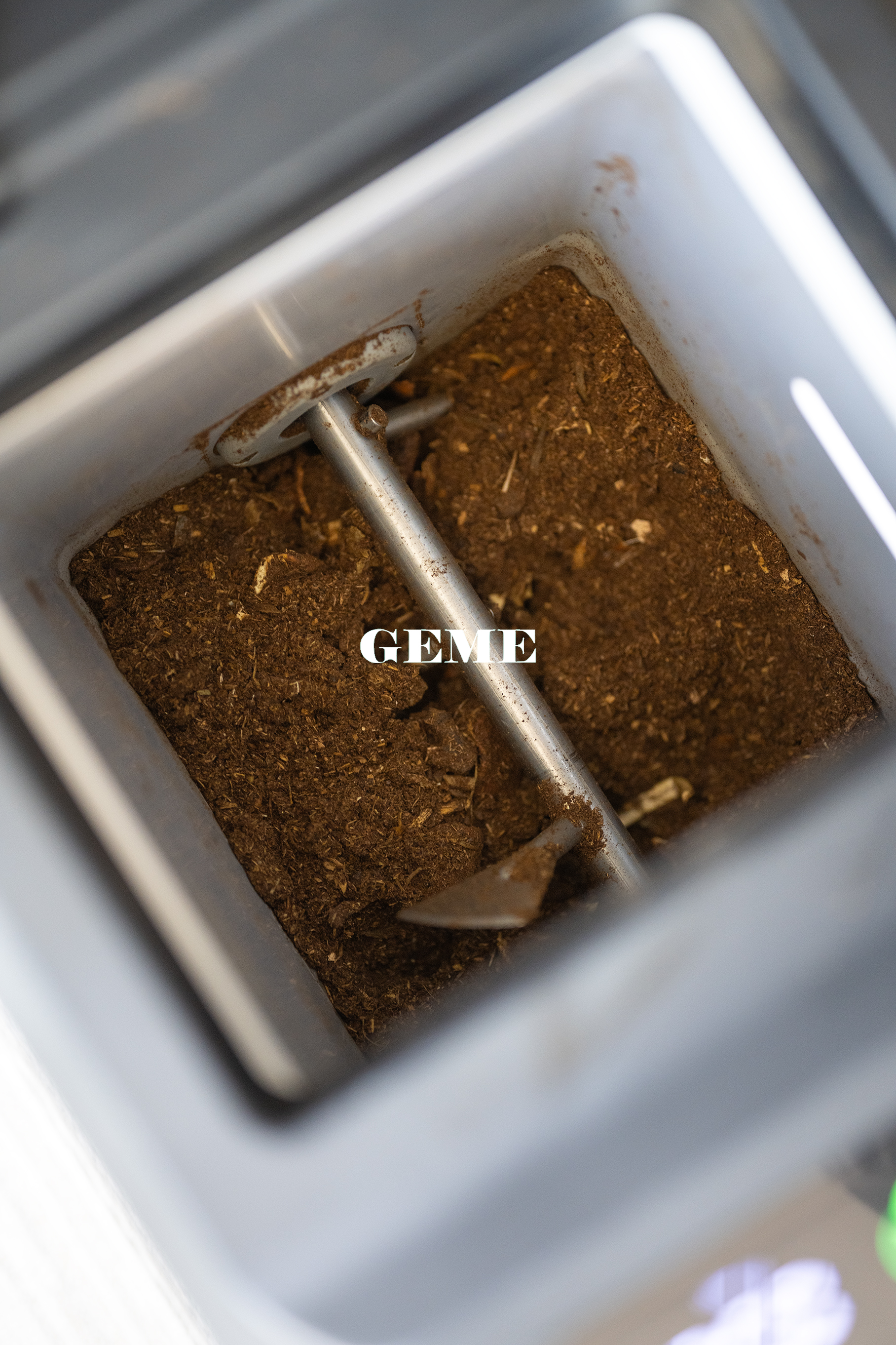 How to Compost Cut Flowers