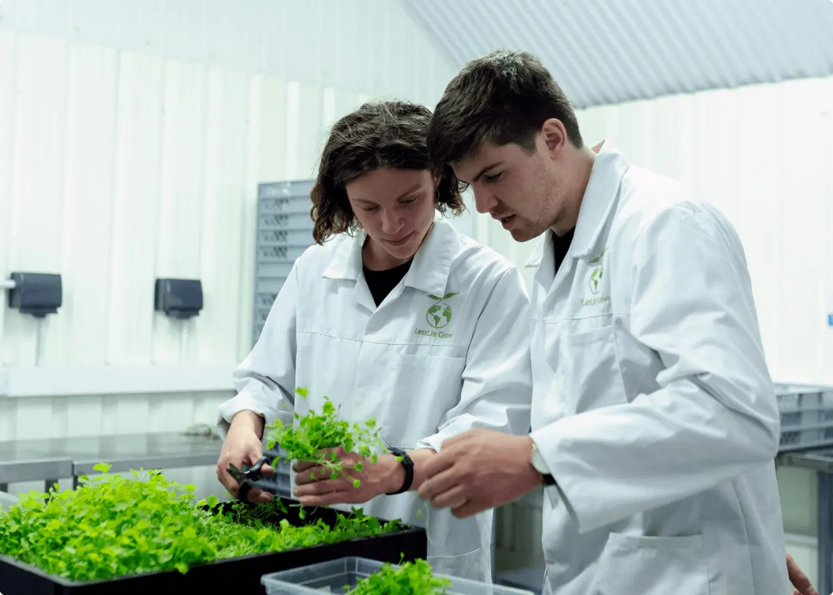 Garden soil vs compost