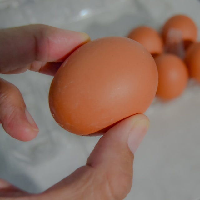 How to store eggs safely?